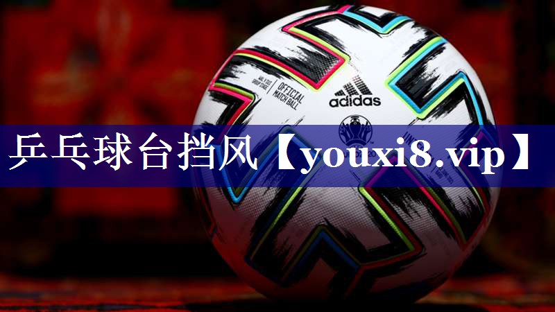 乒乓球台挡风