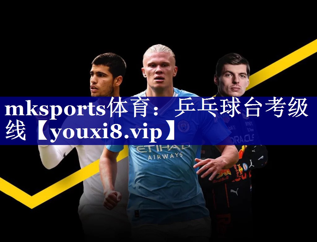 乒乓球台考级线 乒乓球台考级线